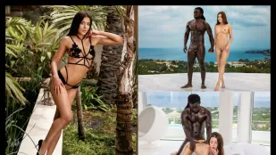 Đãi Ngộ VIP Sybil