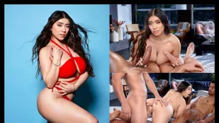 Bánh Mì Kẹp Bữa Tiệc Violet Myers
